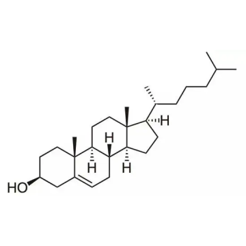 Colesterol de plantas con alta calidad